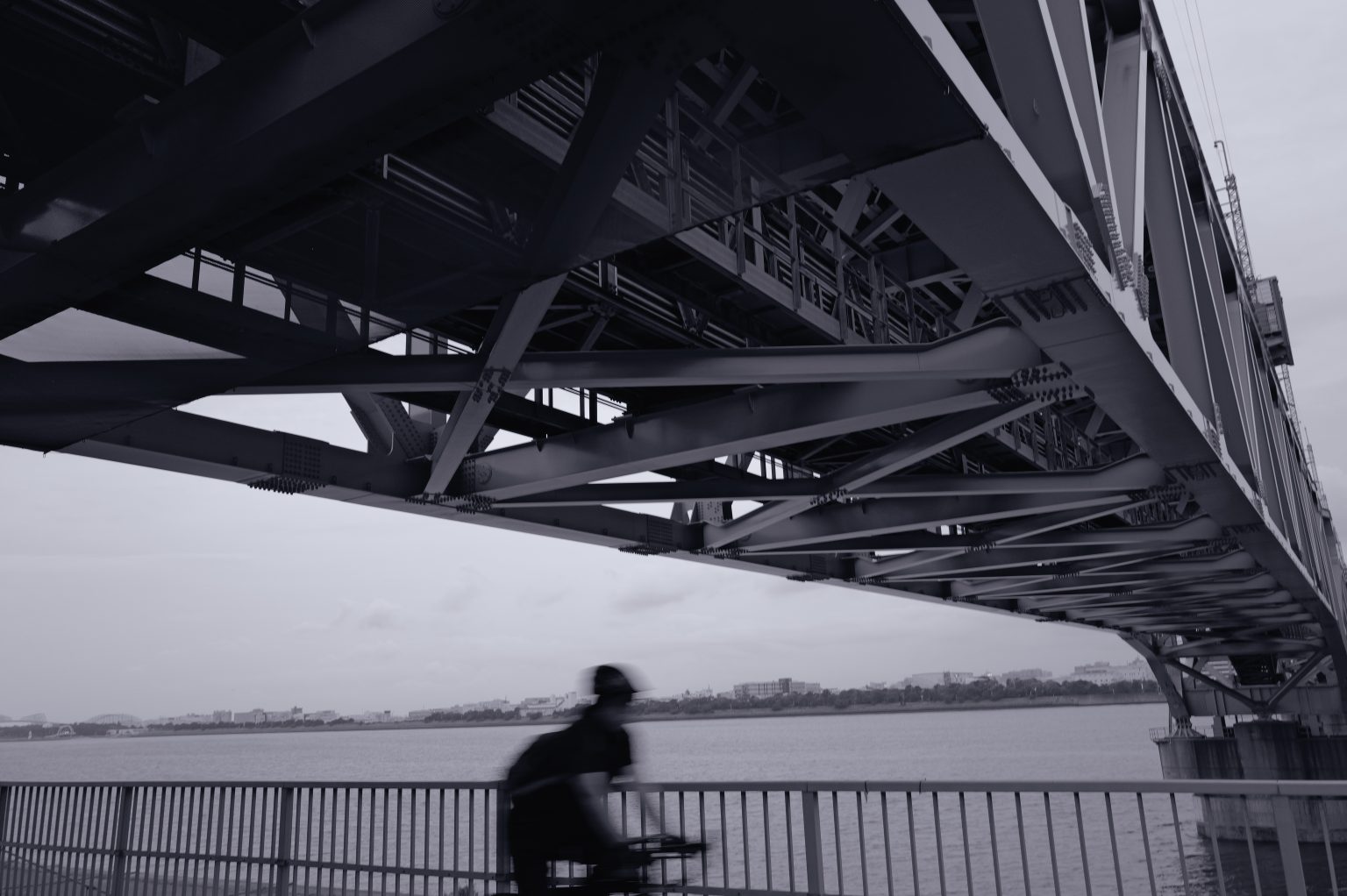 【Leica】What is Leica Looks? Q3+Leica Selenium編