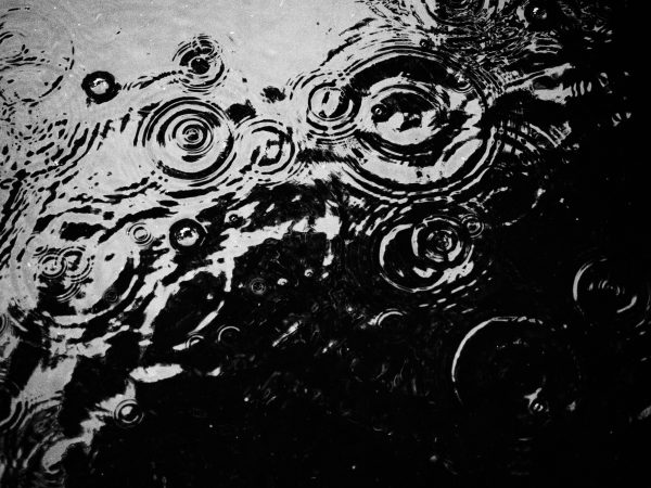 【OM SYSTEM】雨の中でも安心のフォーサーズ！OM-5で梅雨の日散策
