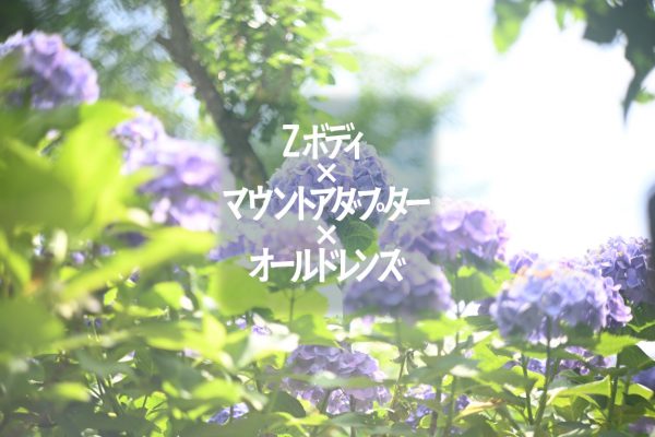 【Nikon】ミラーレス一眼で現代に蘇る伝説のレンズ。Z6II×NIKKOR-P 85mm F2