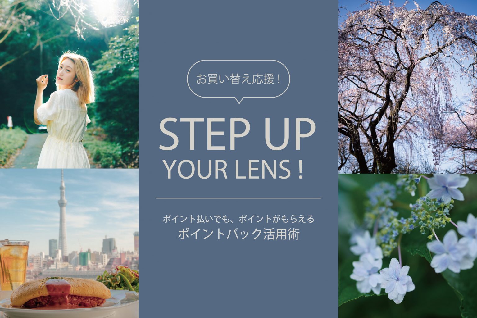 【SONY】「FE 35mm F1.8」からのステップアップにおすすめレンズ