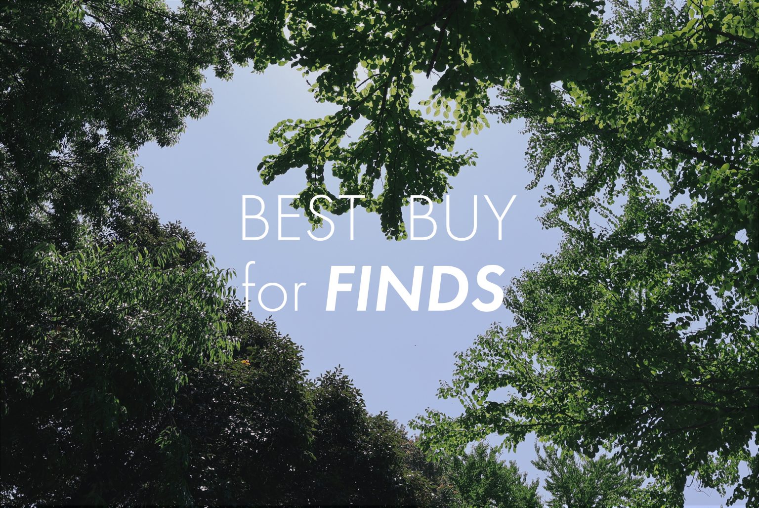 【2025年版】買ってよかった!私の「発見=FINDS」を写すBEST BUYカメラ