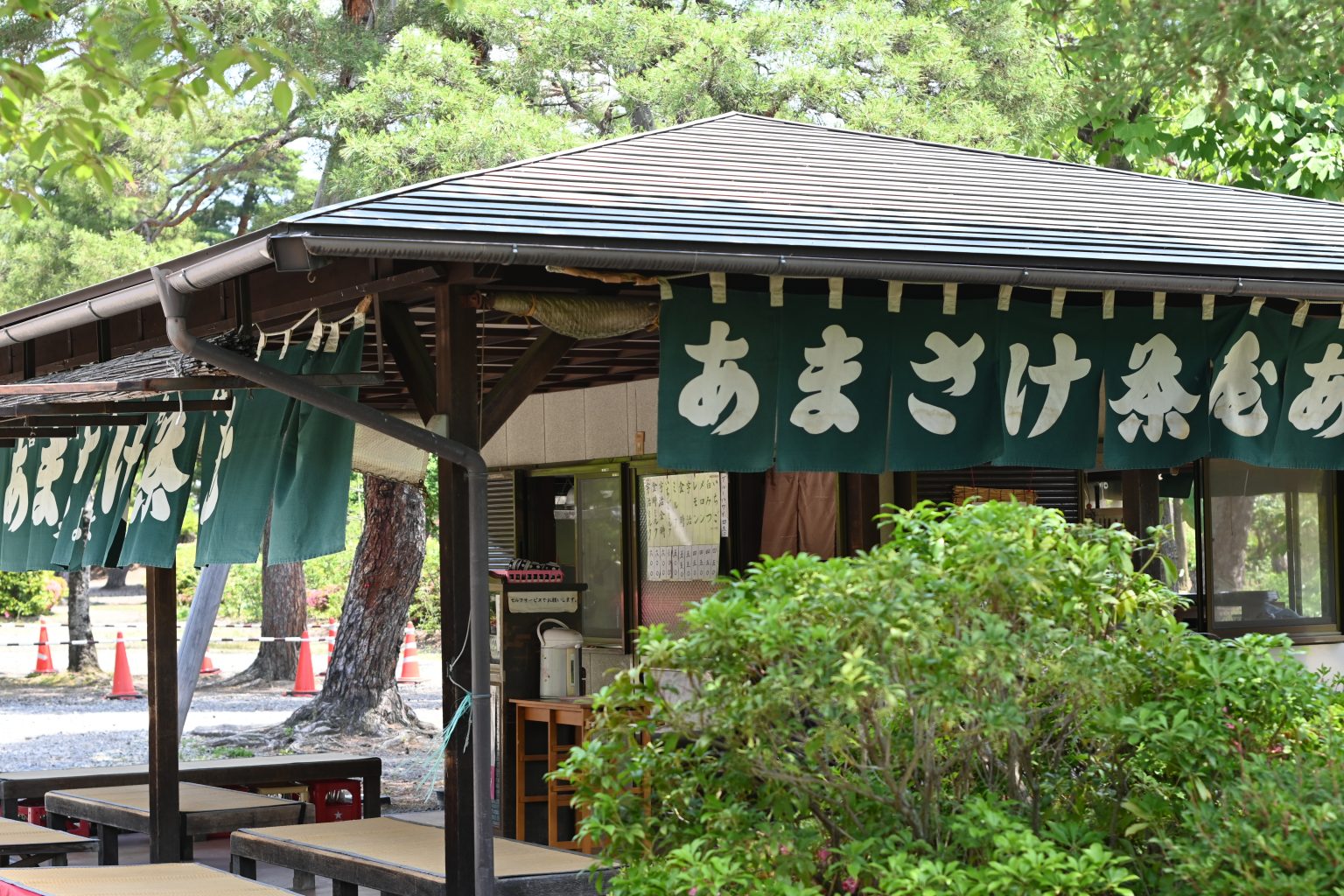 オールドレンズ初心者の「欲しい」をすべて叶えた、レトロで可愛いお勧めセット!