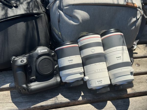 【Canon】暑い今だからこそフラグシップを！Canon EOS R1と厳選白レンズ