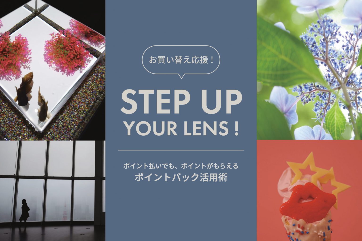 【Panasonic】「LEICA DG SUMMILUX 15mm F1.7 ASPH.」からのステップアップにおすすめレンズ
