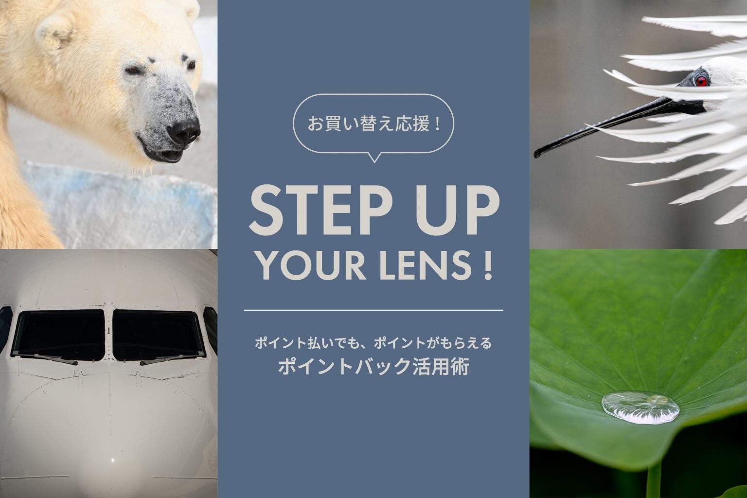【Nikon】「NIKKOR Z 100-400mm F4.5-5.6 VR S」からのステップアップにおすすめのレンズ