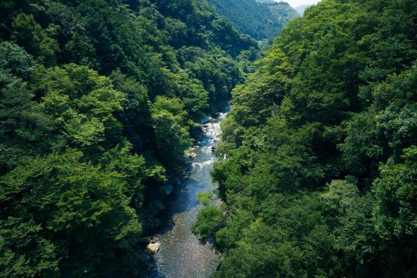 【TAMRON】「28-75mm F2.8 Di III VXD G2（SONY Eマウント）」からのステップアップにおすすめレンズ