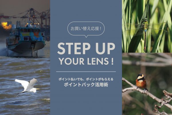 【OM SYSTEM】「M.ZUIKO DIGITAL ED 100-400mm F5.0-6.3 IS II」からのステップアップにおすすめレンズ