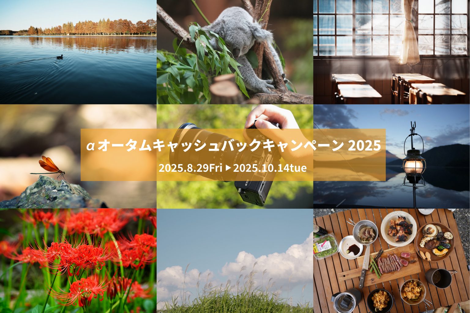 【SONY】αオータムキャッシュバックキャンペーンが今年も始まりました!