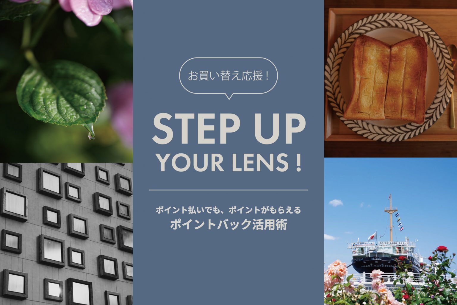 【SIGMA】「 Contemporary 28-70mm F2.8 DG DN (ソニーE用/フルサイズ対応 )」からのステップアップにおすすめレンズ