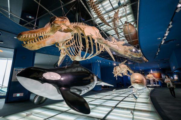 【TAMRON/Nikon】軽やかに広さを楽しむ、進化を遂げた超広角ズームレンズ。