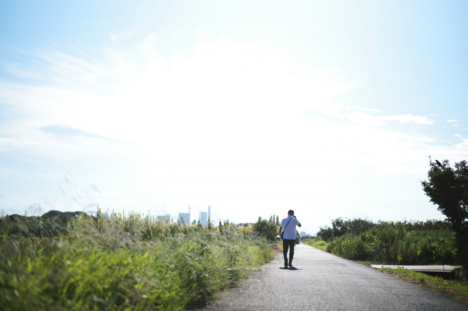 【Leica】Leicaのある日常 #22