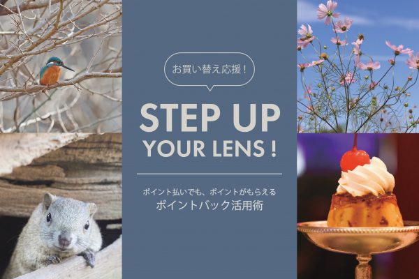 【Canon】「RF75-300mm F4-5.6」からのステップアップにおすすめレンズ