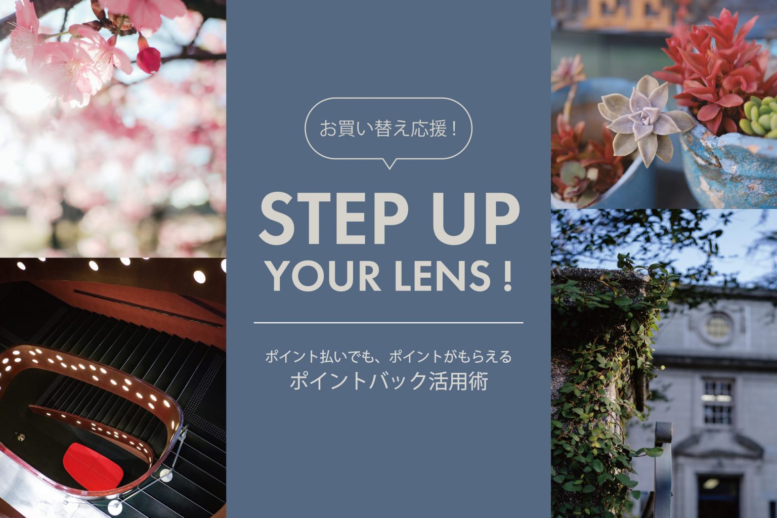 【FUJIFILM】「XF27mm F2.8 R WR」からのステップアップにおすすめレンズ