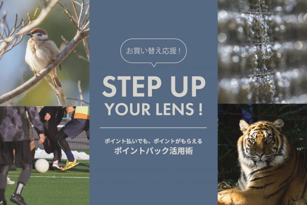 【OM SYSTEM】「M.ZUIKO DIGITAL ED 40-150mm F2.8 PRO」からのステップアップにおすすめレンズ