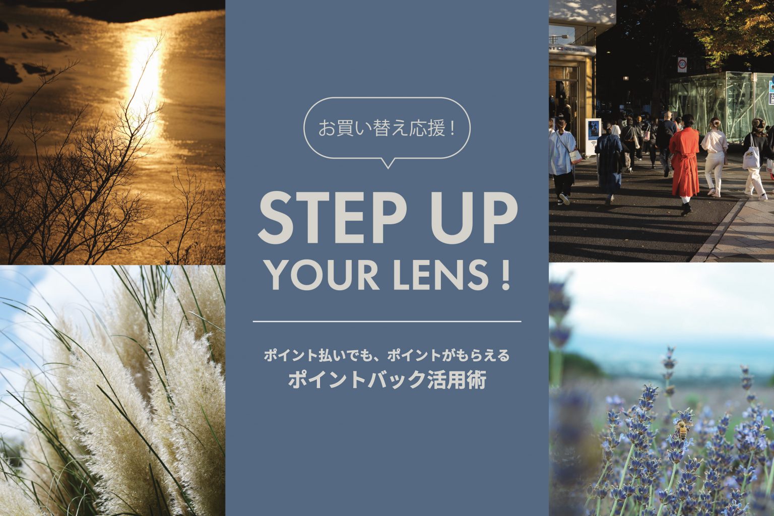 【SIGMA】Contemporary 16-300mm F3.5-6.7 DC OS(ライカSL/TL APS-C用)からステップアップにおすすめなレンズ