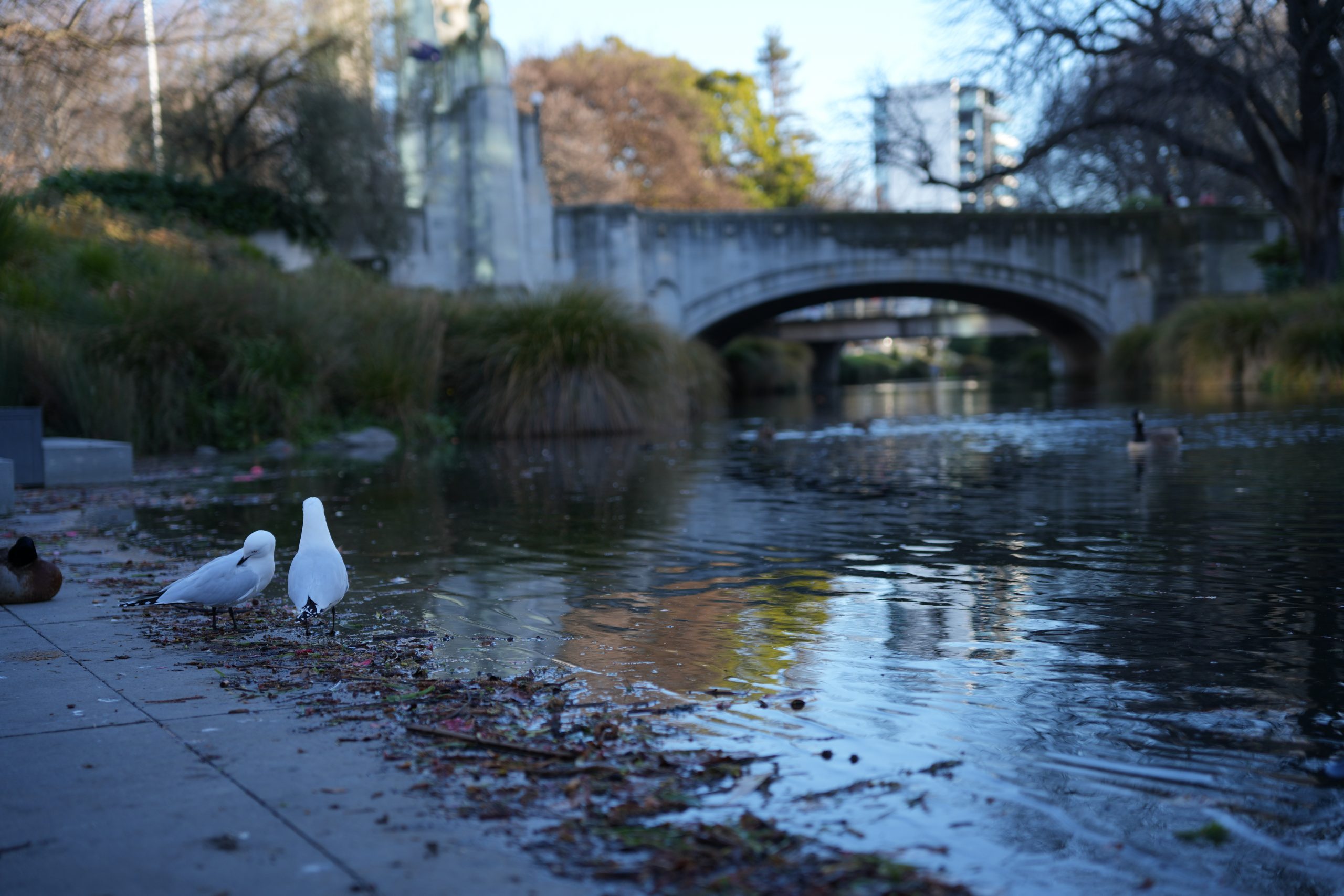 Bridge of Remembrance