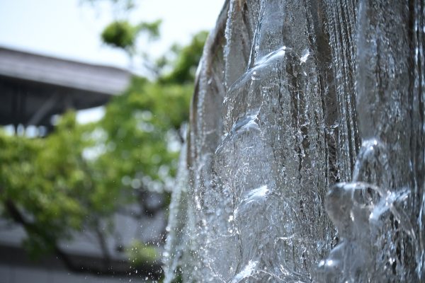 【Nikon】かさばる望遠レンズはもう卒業。NIKKOR Z DX 50-250mm F4.5-6.3 VRで身軽に撮影を楽しもう