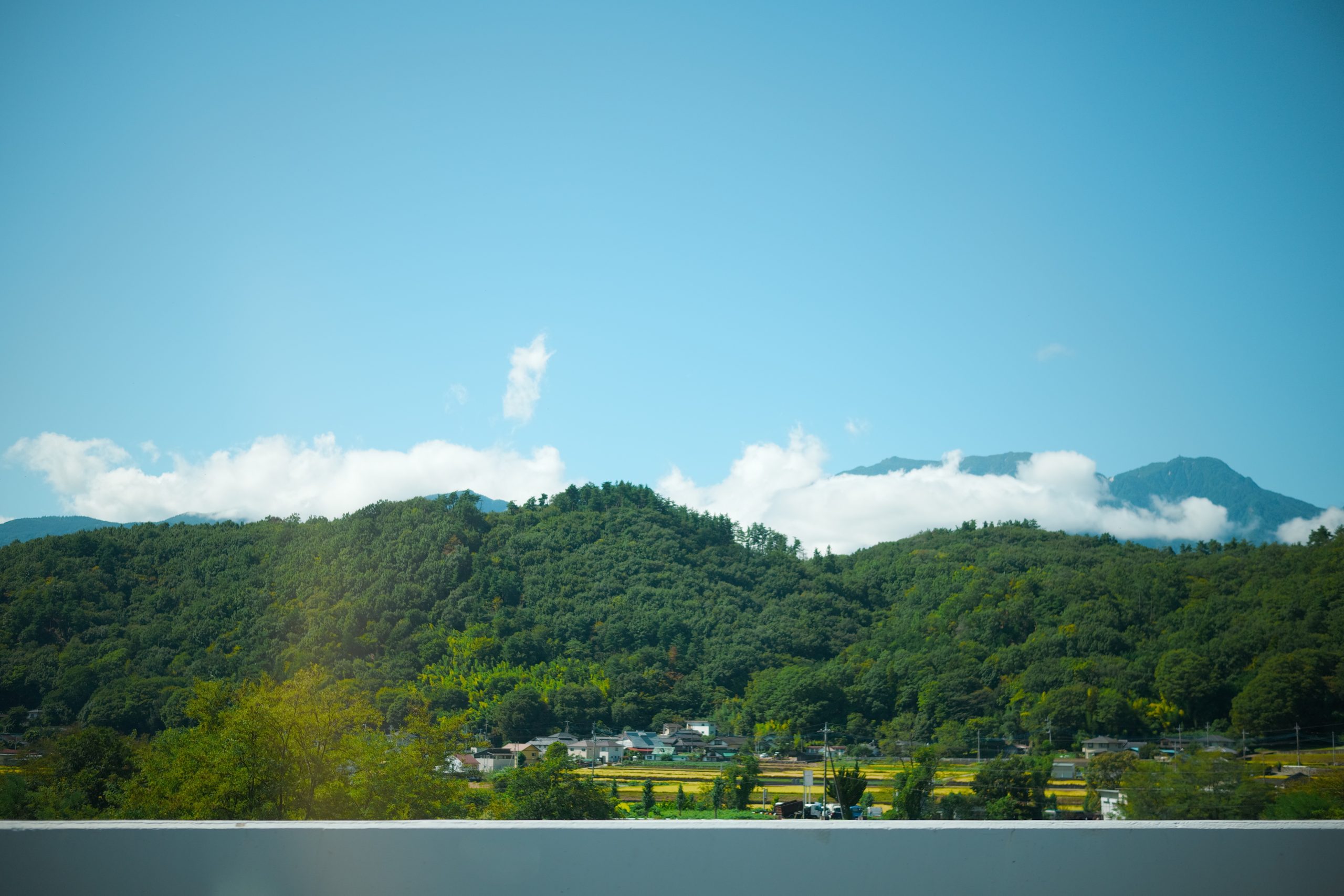 SIGMA BF 高速道路の車窓