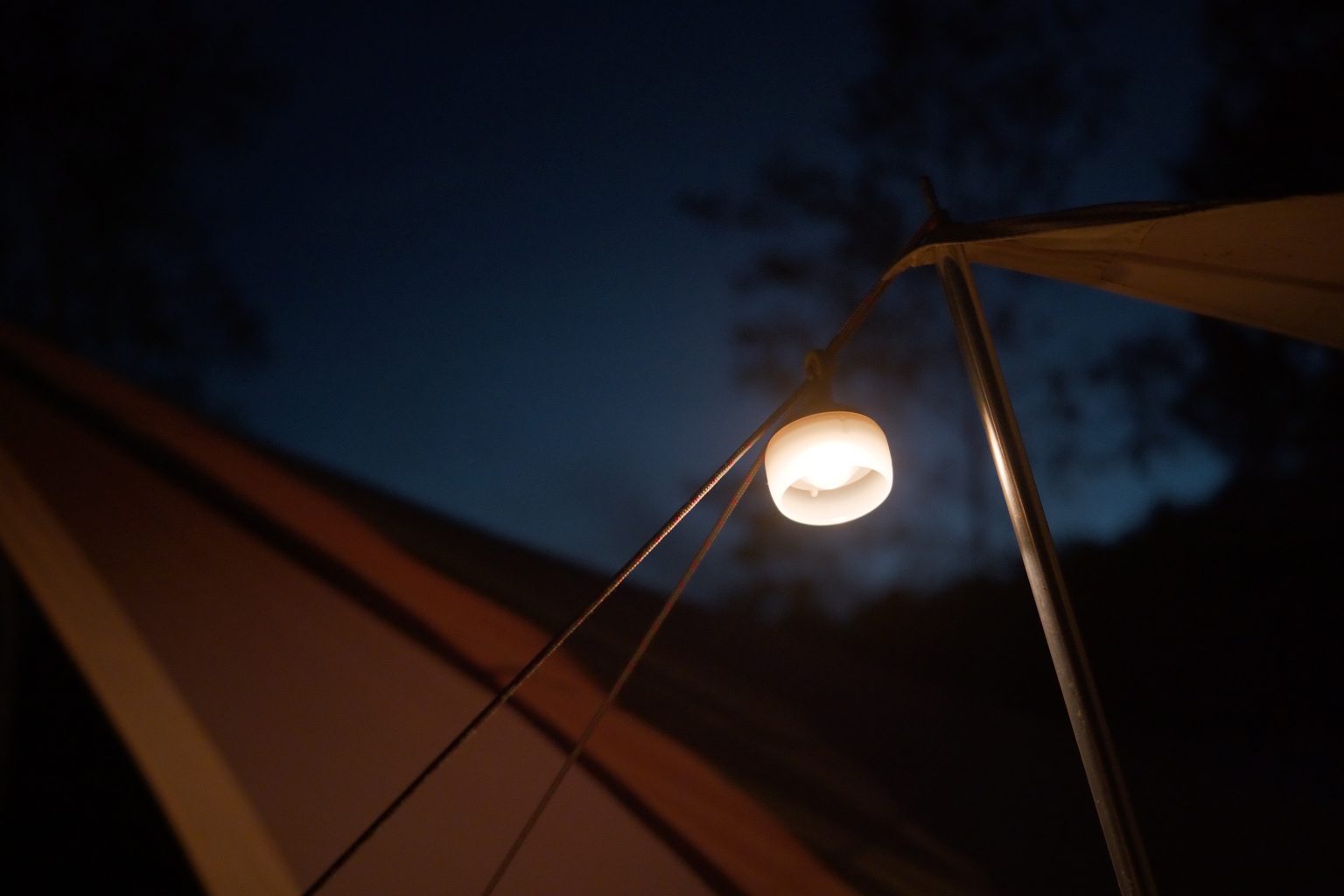 【SIGMA】美しさの愚かさ「BF」発売後半年の正直な感想。