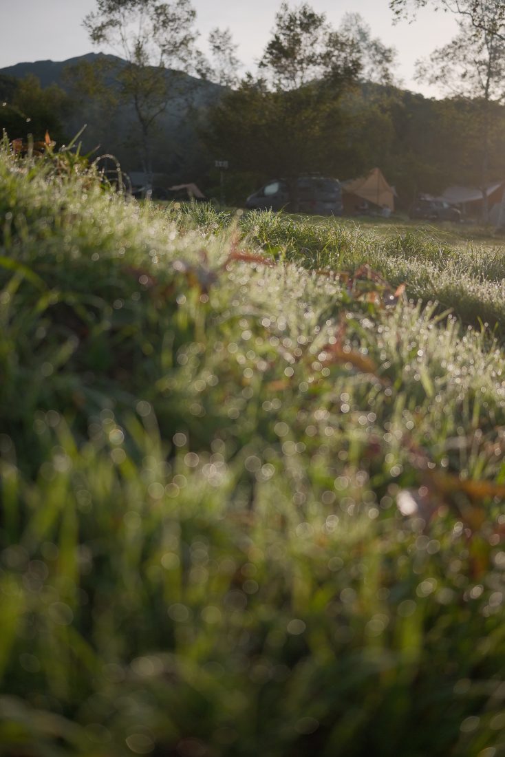 SIGMA BF キャンプ場の朝縦構図