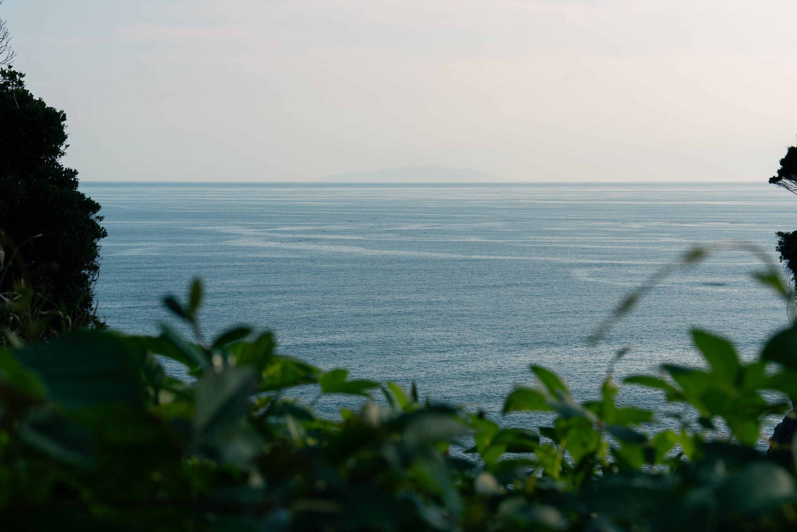 ZV-E1で江ノ島から撮った相模湾と大島