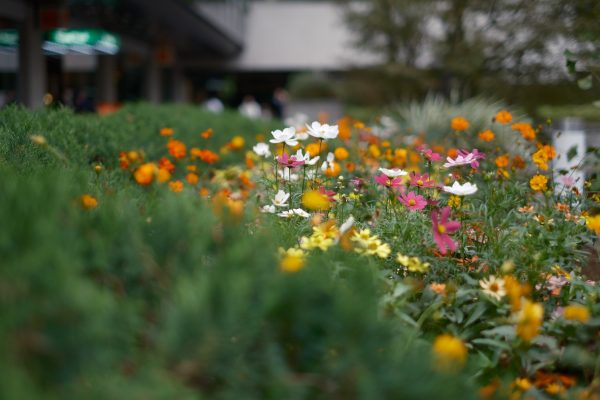 【FUJIFILM】”Photography first”なX-T5と神レンズで写真の原点へ帰る。