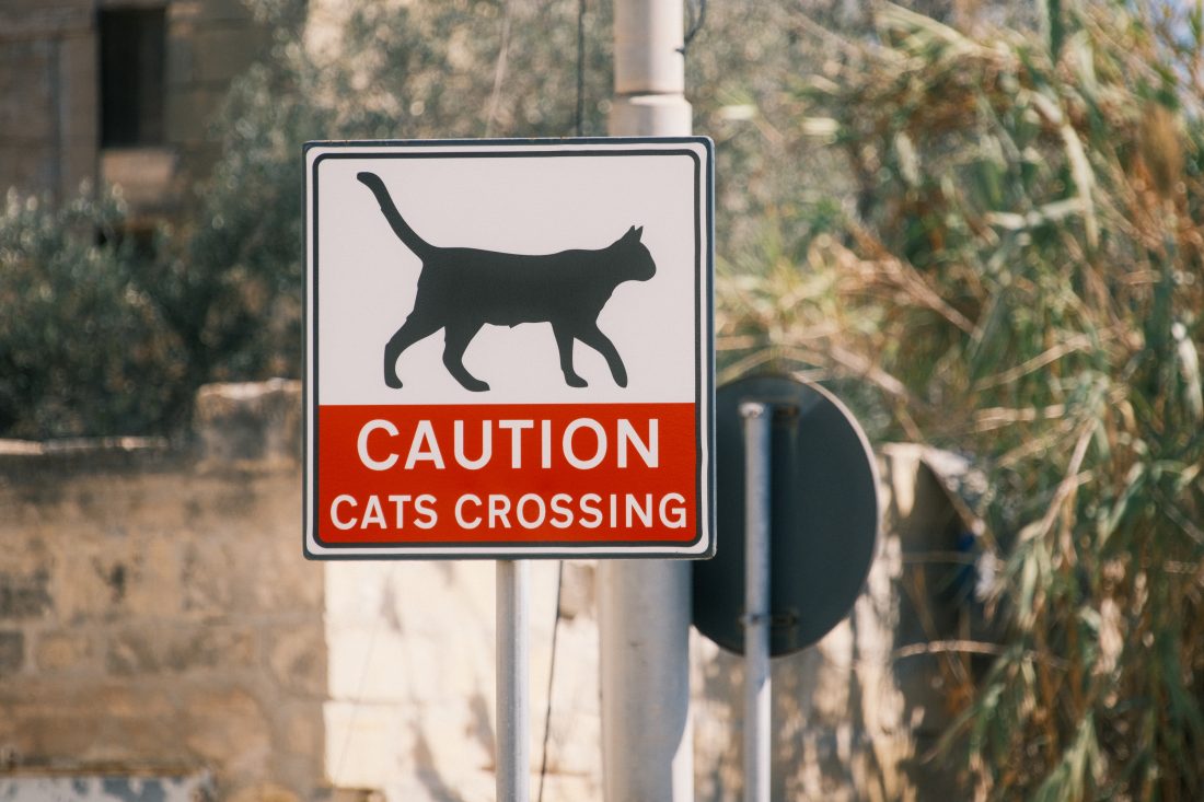 SIGMA Contemporary 16-300mm F3.5-6.7 DC OS 風景