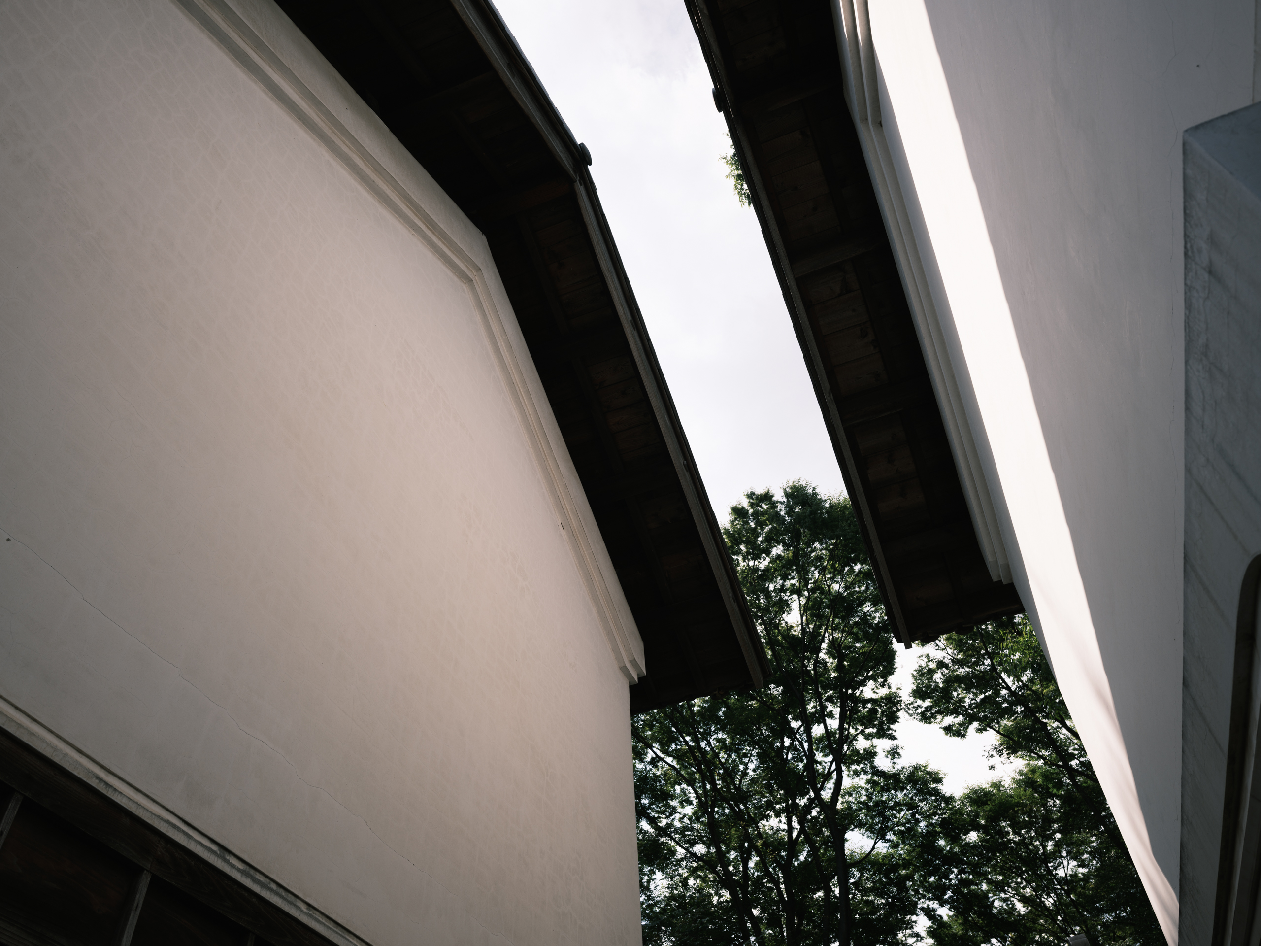空を仰ぎ見て屋根の隙間から見える木々