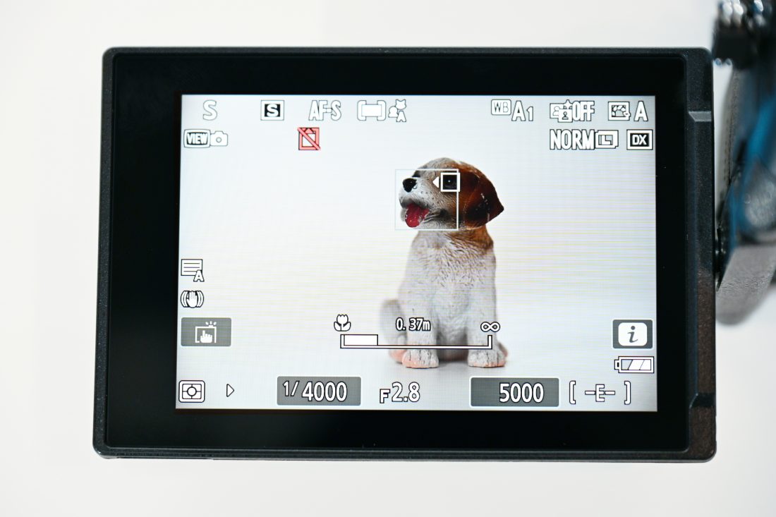 NIKKOR Z DX 16-50mm F2.8 VRをZ50IIのAFの様子