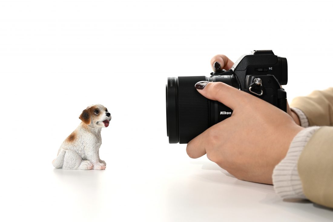 NIKKOR Z DX MC 35mm F1.7のマクロ撮影