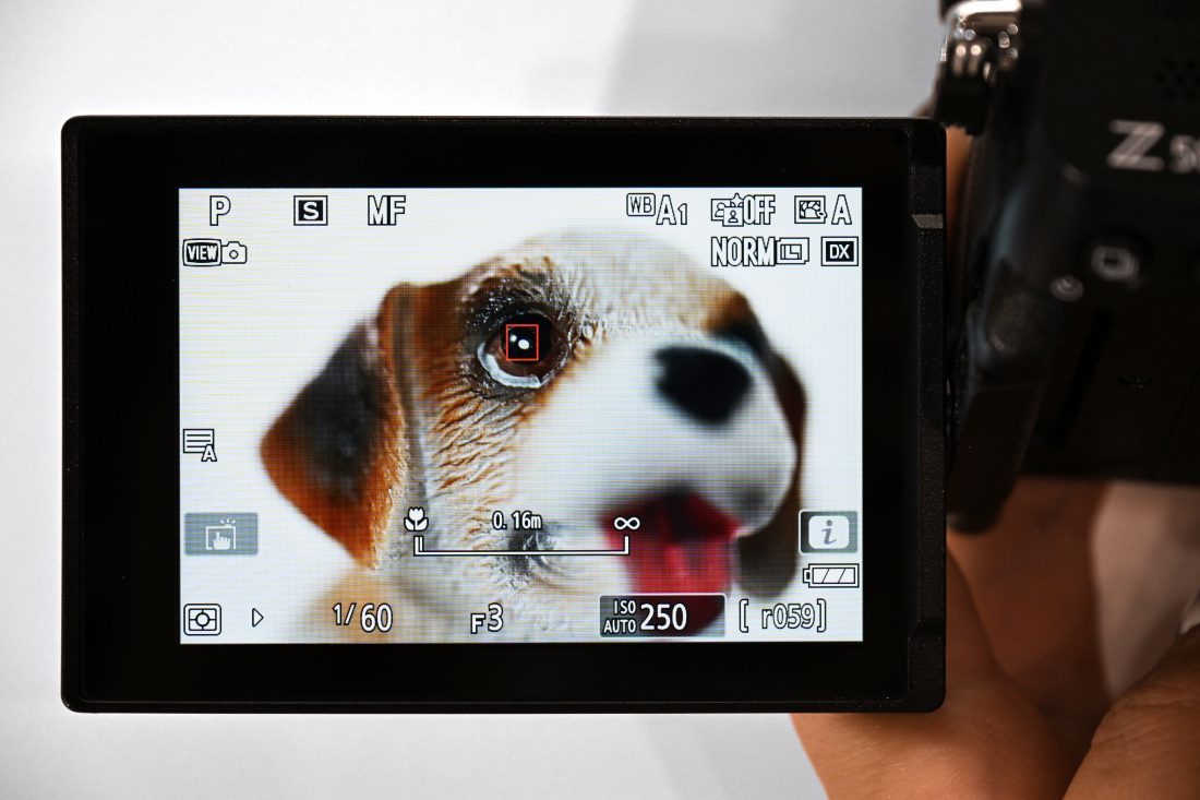 NIKKOR Z DX MC 35mm F1.7のマクロ撮影の画面