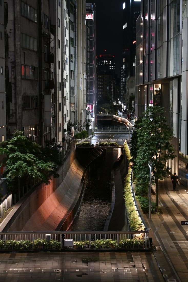 Z50II 渋谷川 小雨 夜景