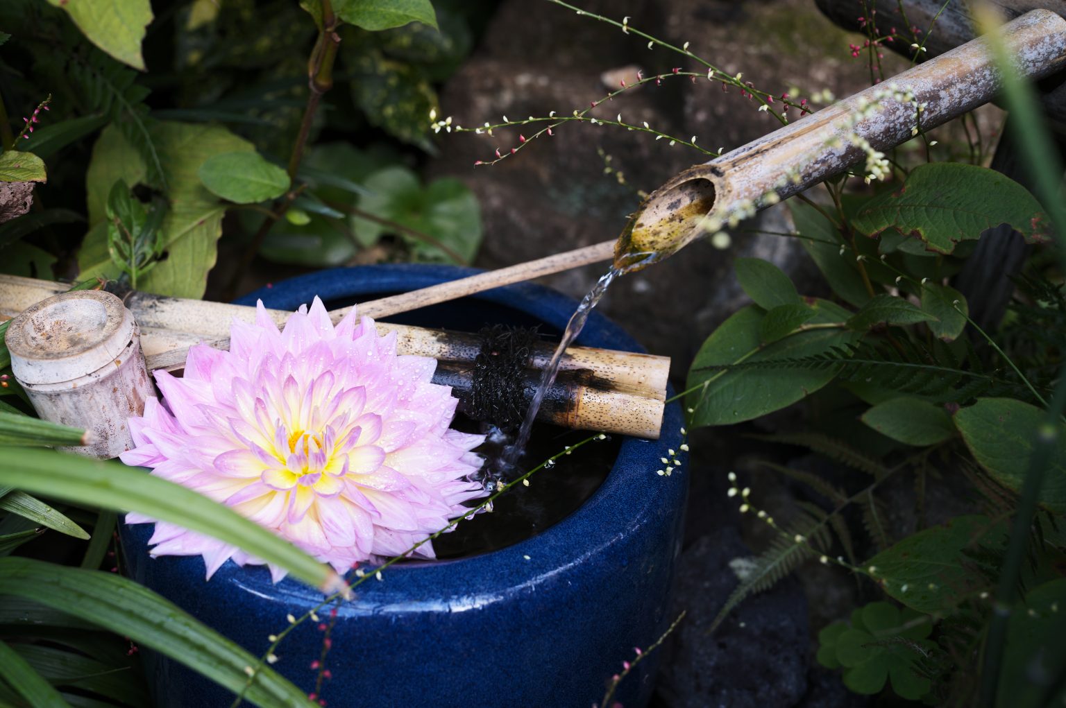 【Leica】M型デジタルで使いたい至高の描写力、アポズミクロン M35mm