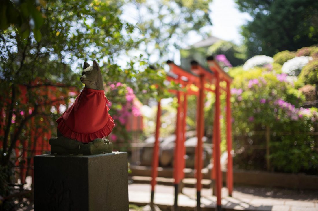 Leica M11とズミルックス M35mm F1.4 ASPH. 11726 ブラック で撮影した神社のお稲荷さんの画像