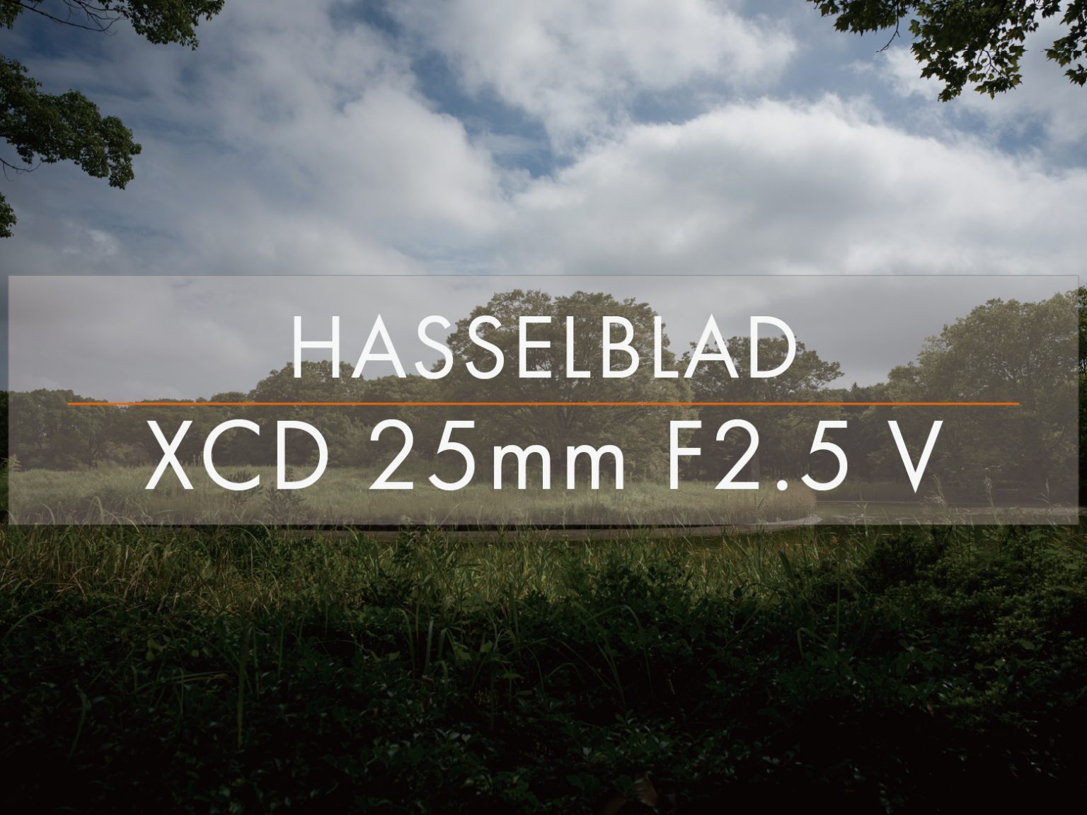 【HASSELBLAD】XCDレンズが解き放つ、1億画素カメラの真のポテンシャル⑥