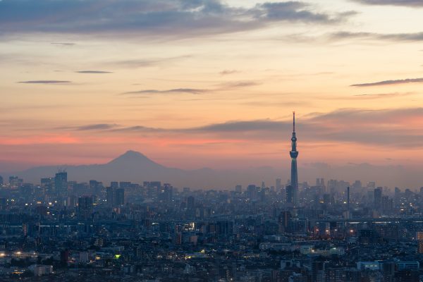 【SONY】購入から約1年半、α7IVと歩んだ軌跡