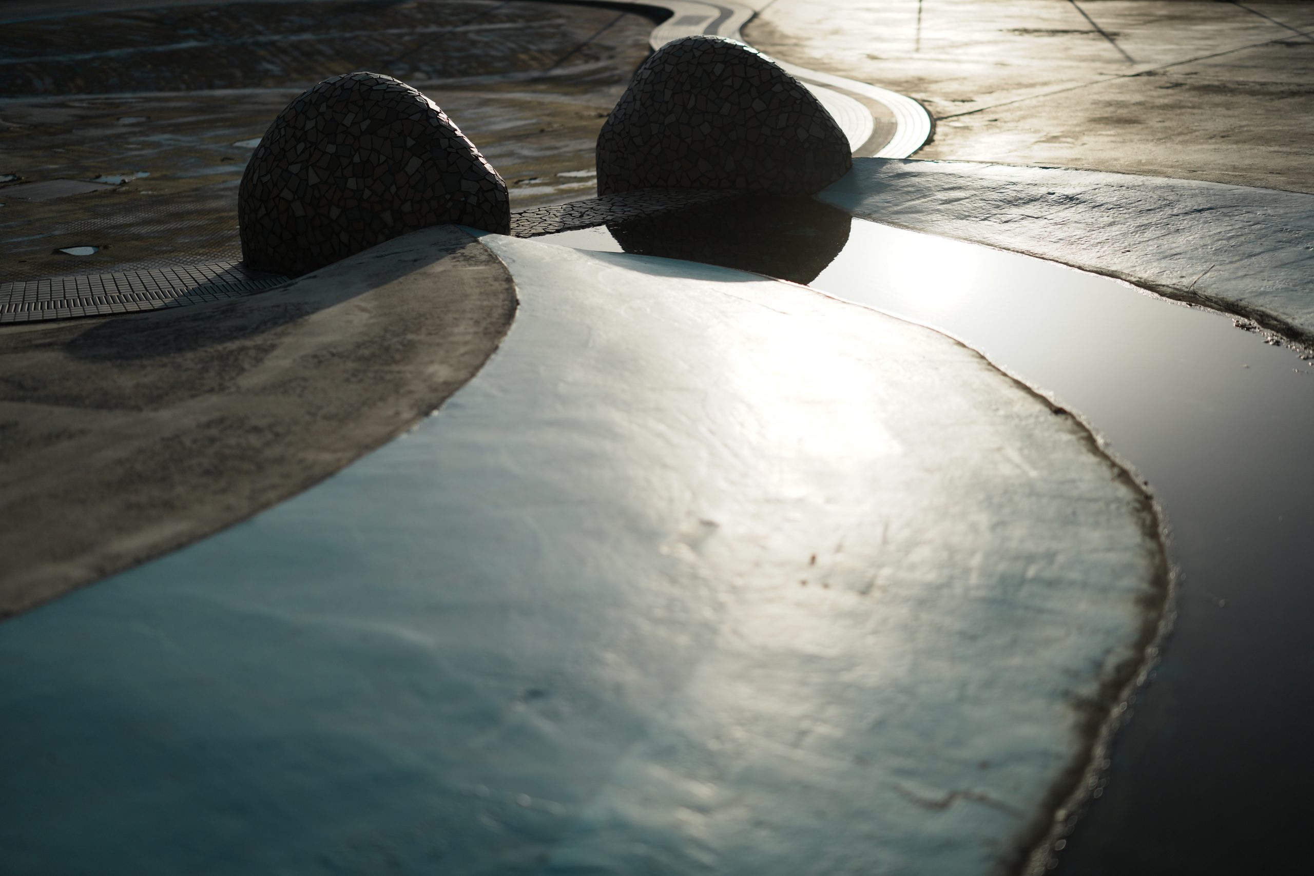 Carl Zeiss Otus ML 50mm F1.4夕日に照らされる