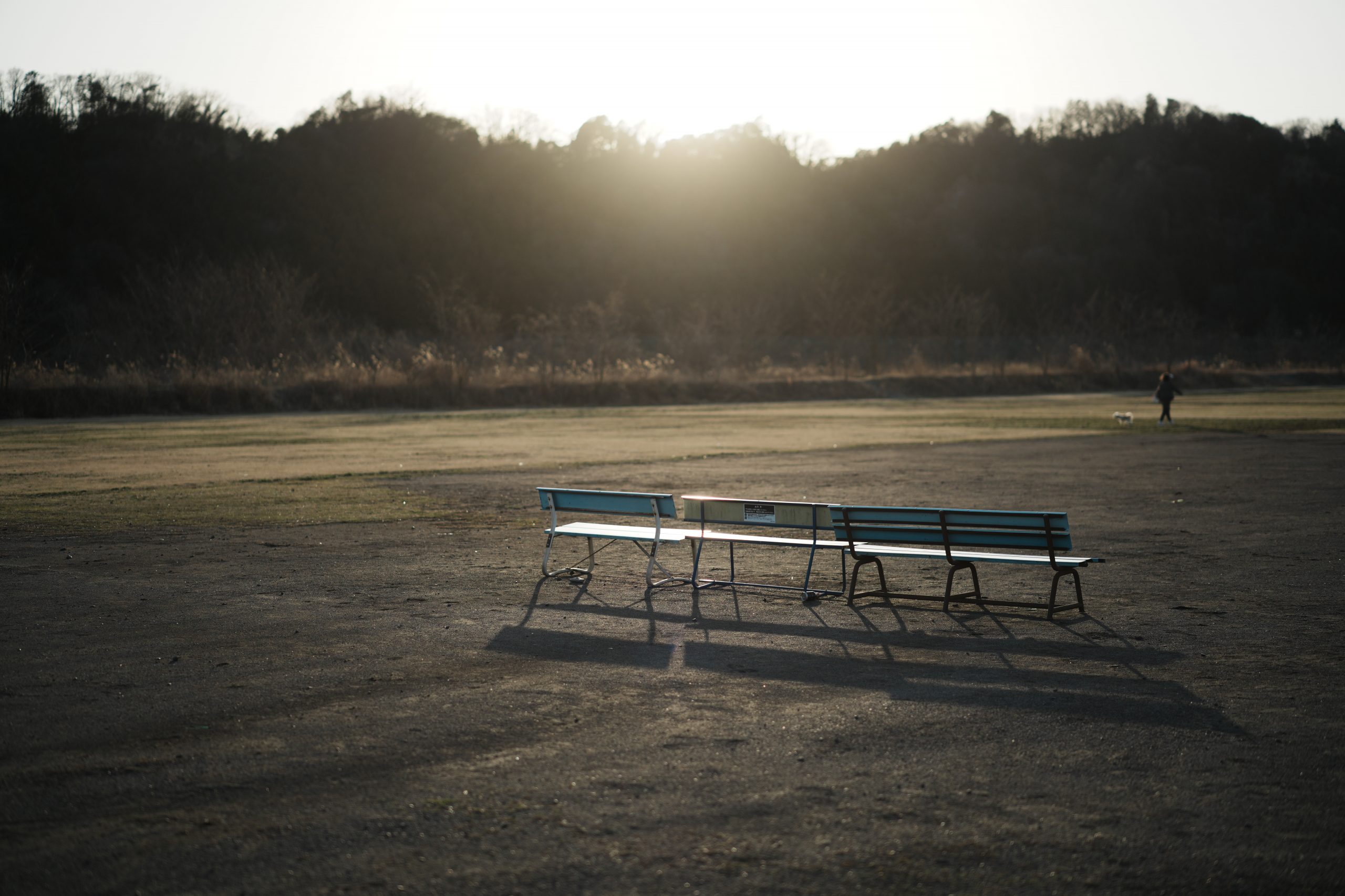 Carl Zeiss Otus ML 50mm F1.4夕日を受けるベンチ