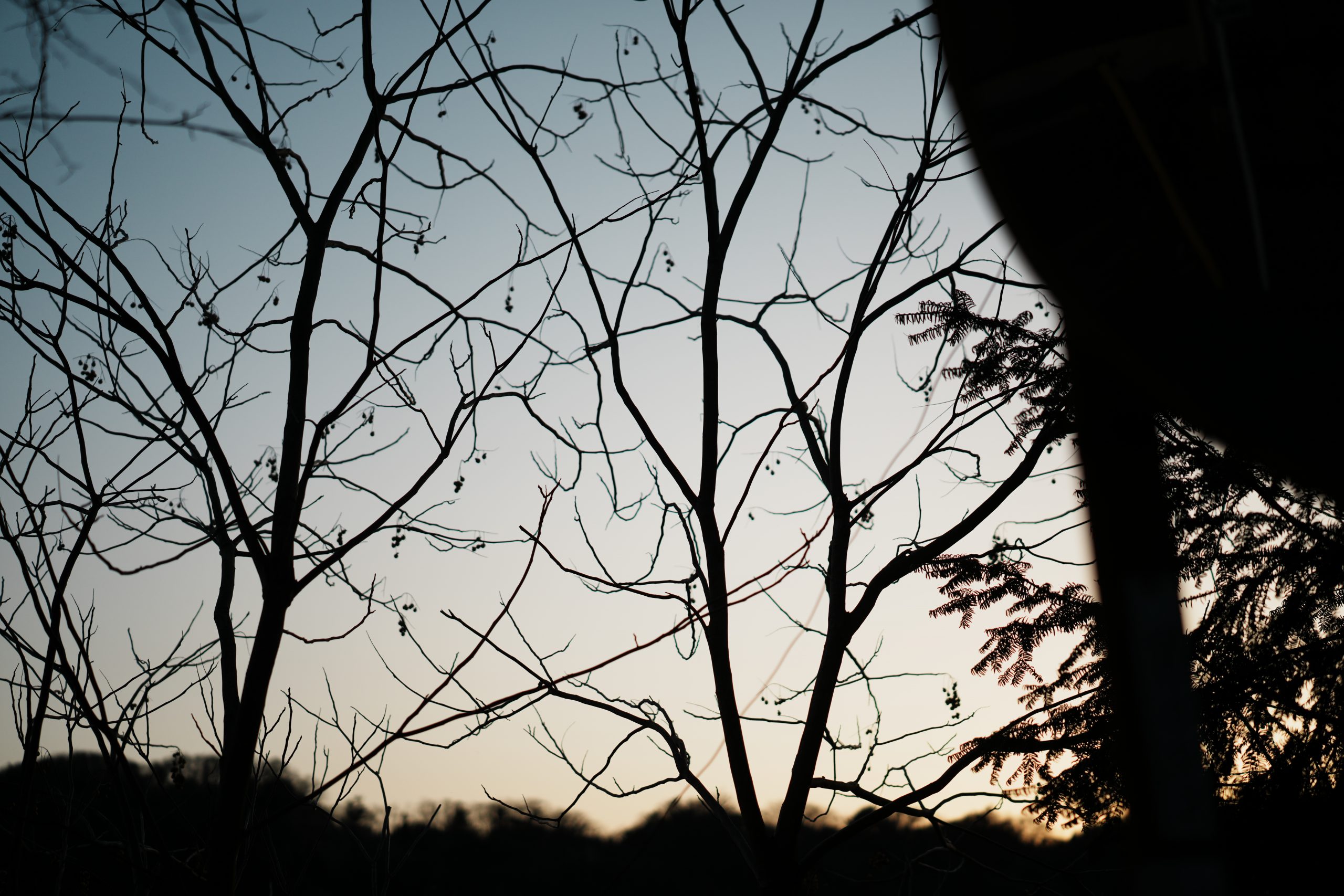 Carl Zeiss Otus ML 50mm F1.4マジックアワー