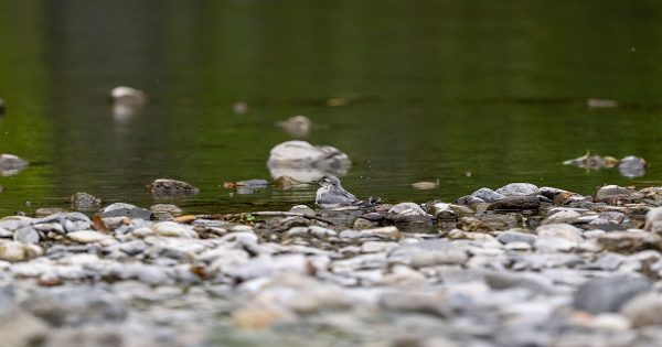 【Panasonic】撮影範囲が広がる超望遠ズームレンズで撮る夏の風景