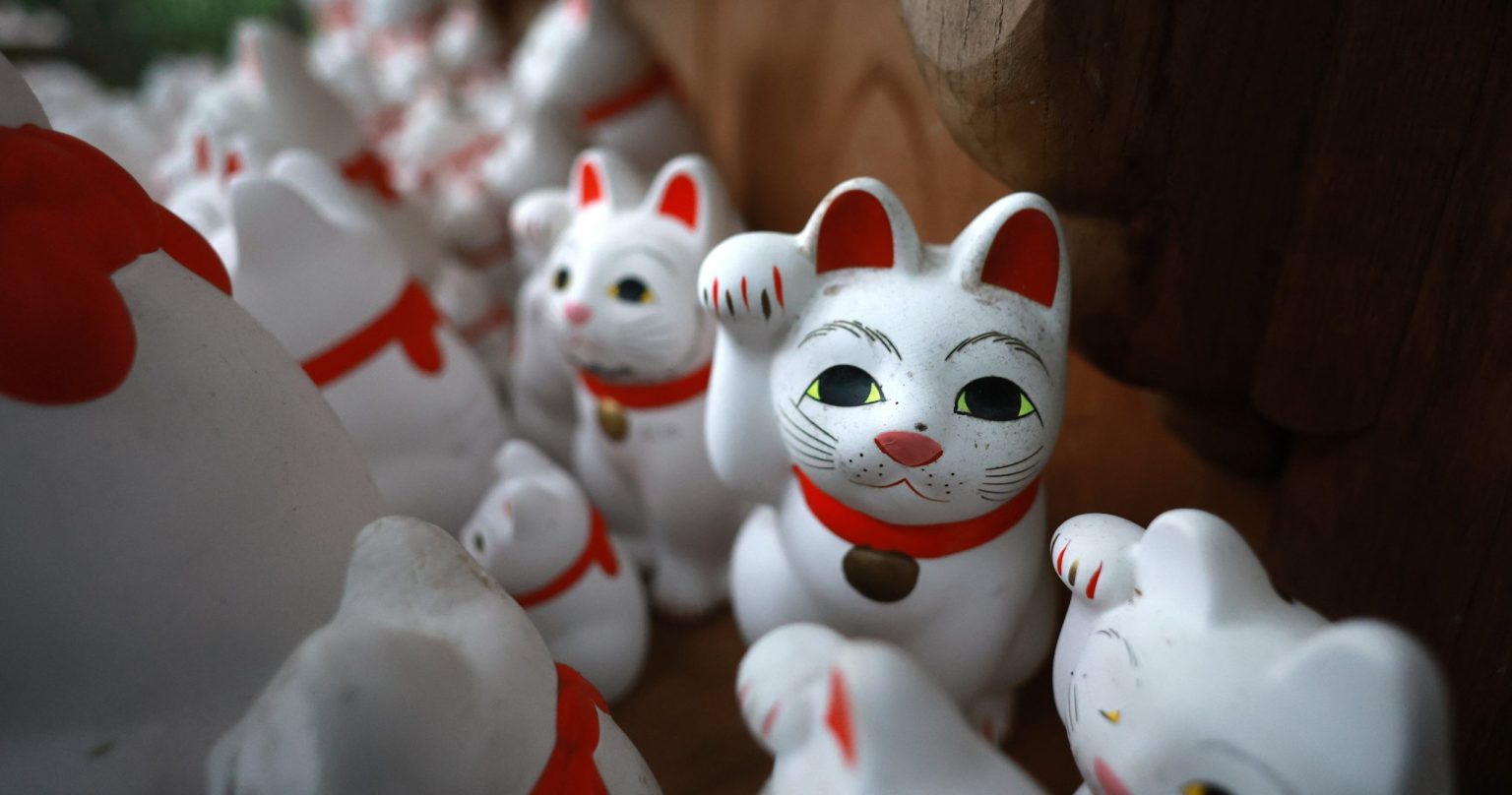 【Canon】雨の日に沢山の招き猫に囲まれて