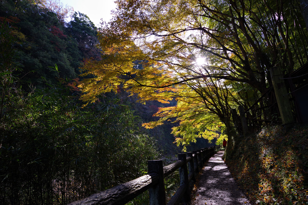 PENTAX K-1 + HD D FA 15-30mm F2.8 ED SDM WR