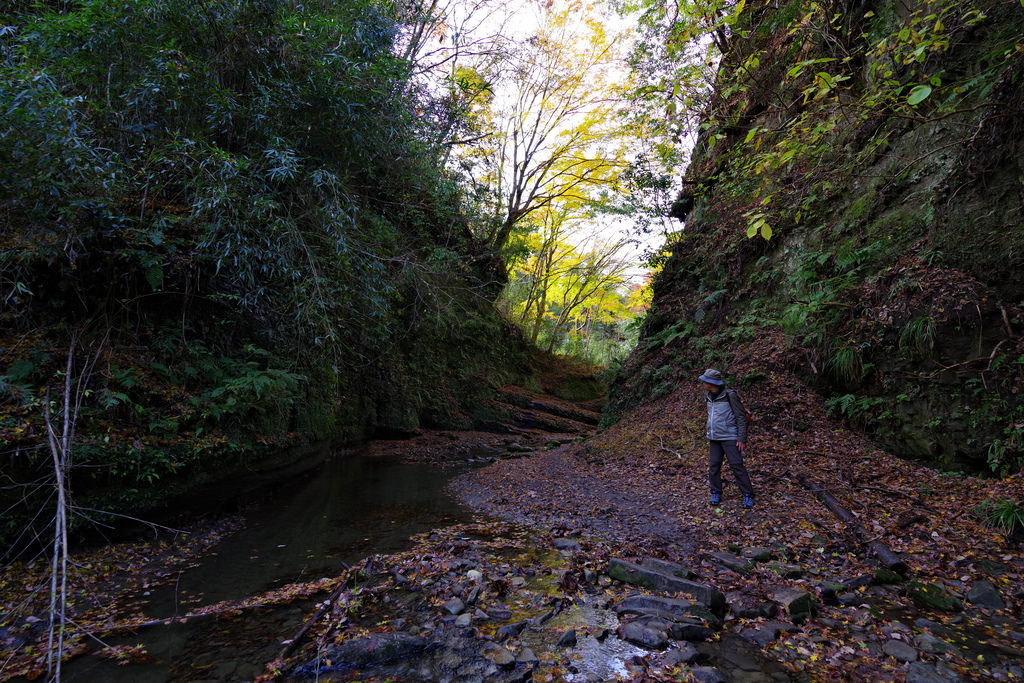 PENTAX K-1 + HD D FA 15-30mm F2.8 ED SDM WR