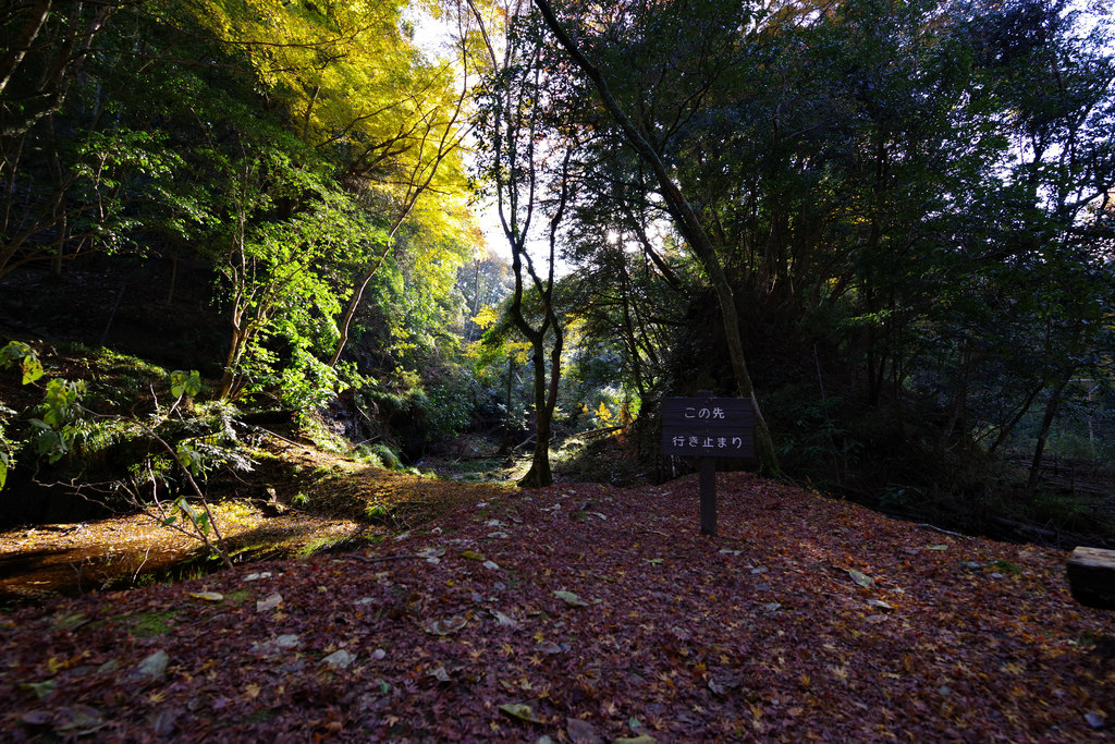 PENTAX K-1 + HD D FA 15-30mm F2.8 ED SDM WR