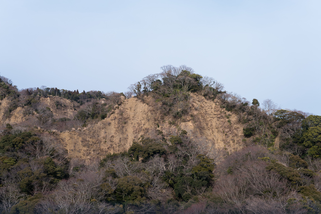 Leica SL(Typ601) + APO Summicron M50mm F2 ASPH