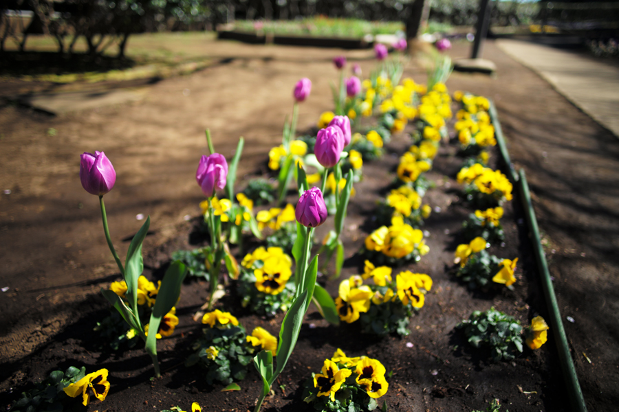 Leica M(typ240) + Leica ズミルックス M24mm F1.4 ASPH