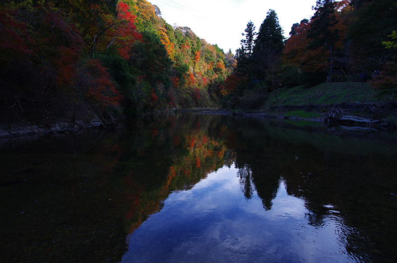 PENTAX K-5 IIs+HD DA 15mm F4 ED AL Limited