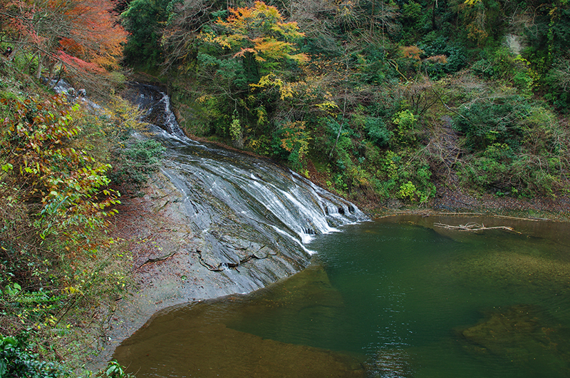 PENTAX K-5 IIs+FA★24mm F2 AL[IF]