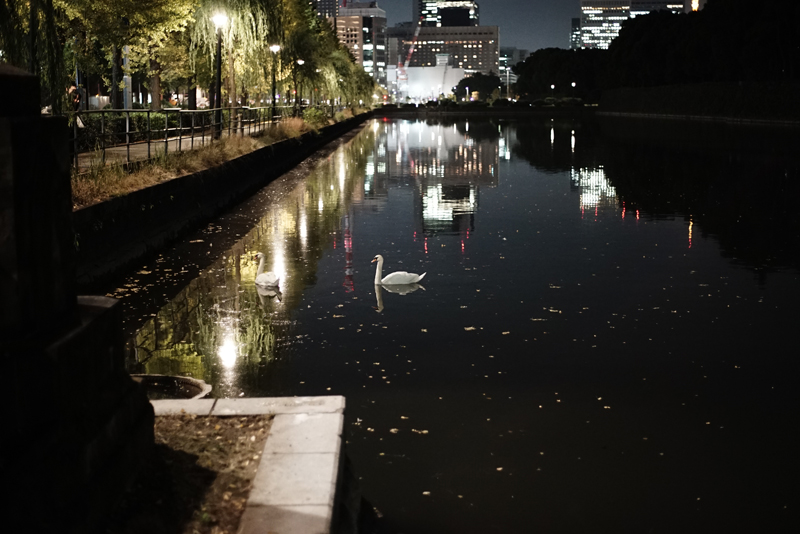 SONY (ソニー) α7S ボディ + CONTAX (コンタックス) Planar T*50mm F1.7 MM