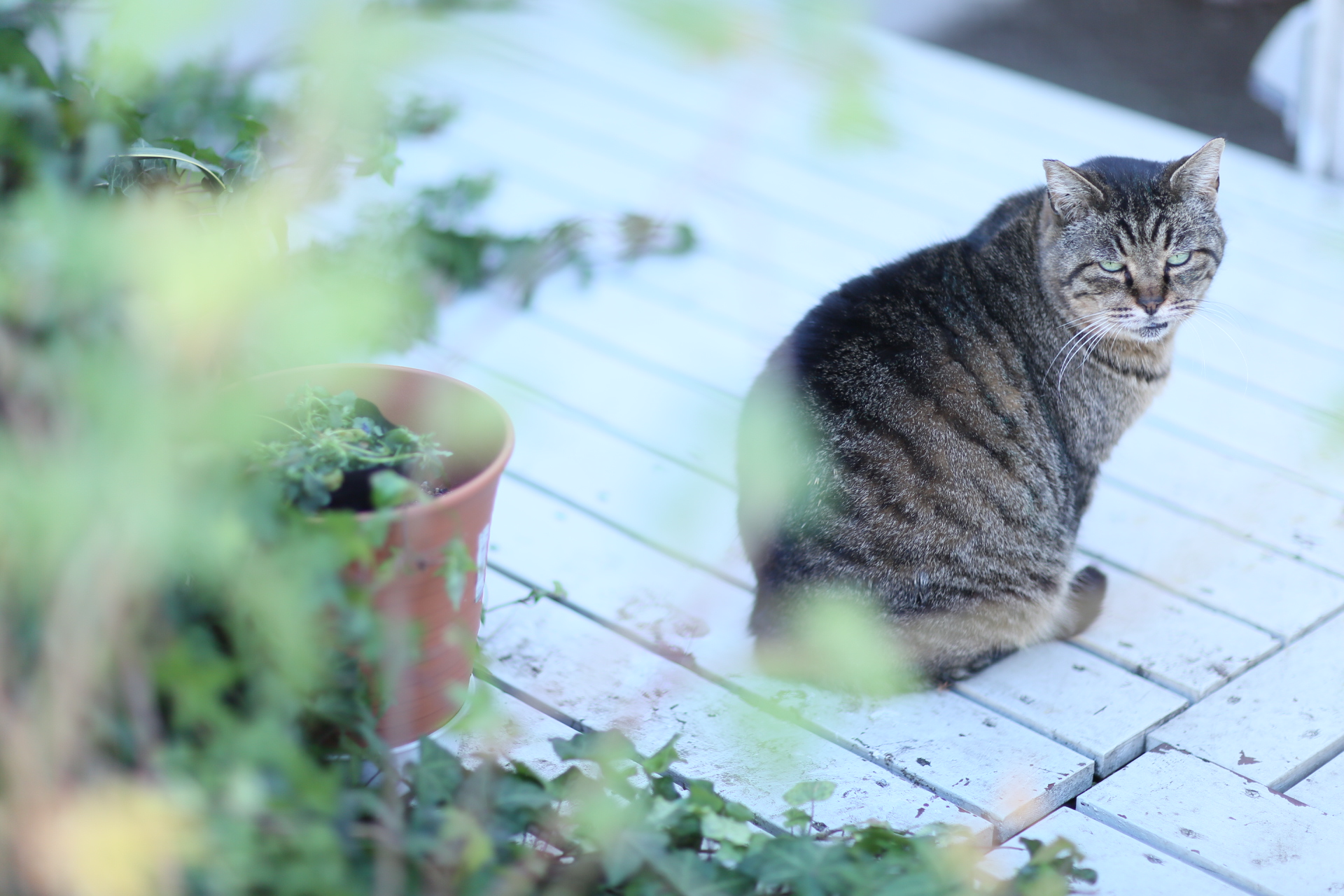 Canon EOS 5D MarkIII + EF85mm F1.2L II USM